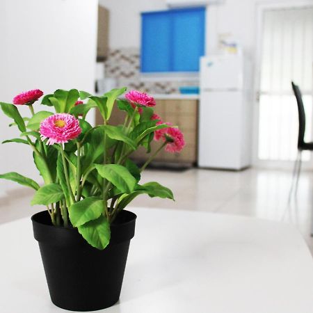 Duplex Comfort Apartments Larnaca Eksteriør billede